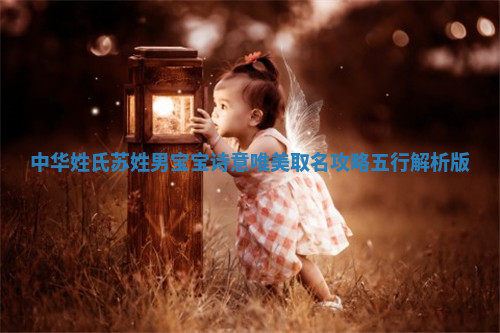 中华姓氏｜苏姓男宝宝诗意唯美取名攻略（五行解析版）