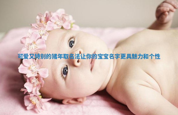 可爱又特别的猪年取名法让你的宝宝名字更具魅力和个性