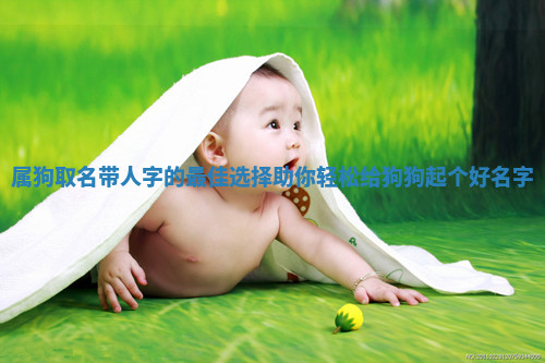属狗取名带人字的最佳选择助你轻松给狗狗起个好名字