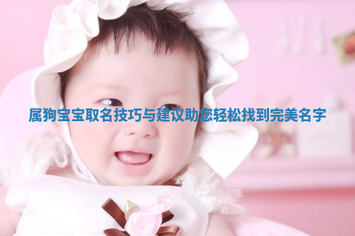 属狗宝宝取名技巧与建议助您轻松找到完美名字