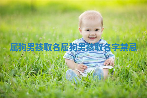 属狗男孩取名_属狗男孩取名字禁忌