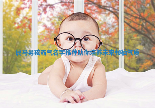 属马男孩霸气名字推荐助你培养未来领袖气质