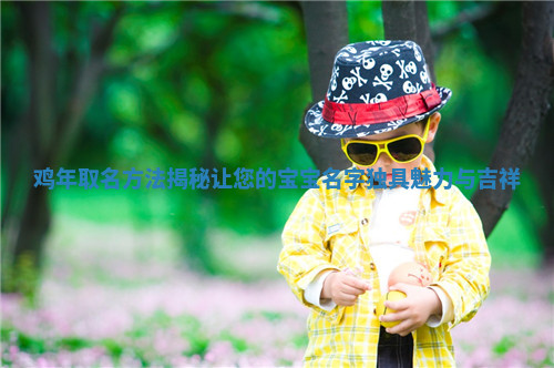 鸡年取名方法揭秘让您的宝宝名字独具魅力与吉祥